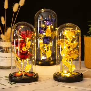 Valentines’s Day Gift Beauty and the Beast Preserved Eternal Roses in Glass Dome