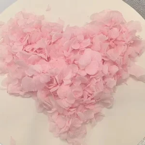 Wedding Decorative Flowers Real Touch Preserved Big leaf Hydeangea Petals Rose Petals For Wedding Confetti Diy Material