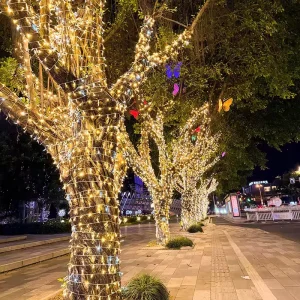 White LED Fairy String Lights 10m Indoor Outdoor Custom IP44 Decorative Bedroom Christmas Holiday Direct Factory Outlet