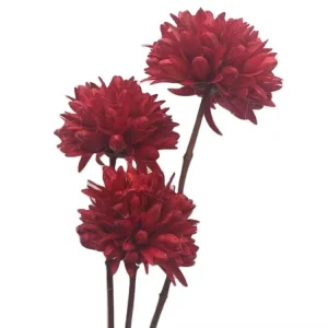 Yunnan Factory Direct Home and Shop Decoration Handmade Dry Yulan Magnolia Flowers Eco Friendly Indoor Outdoor Use