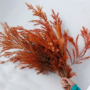 Yunnan Real Natural Eternal Plant Branches Foliages Green Plants for Christmas House Events Decor